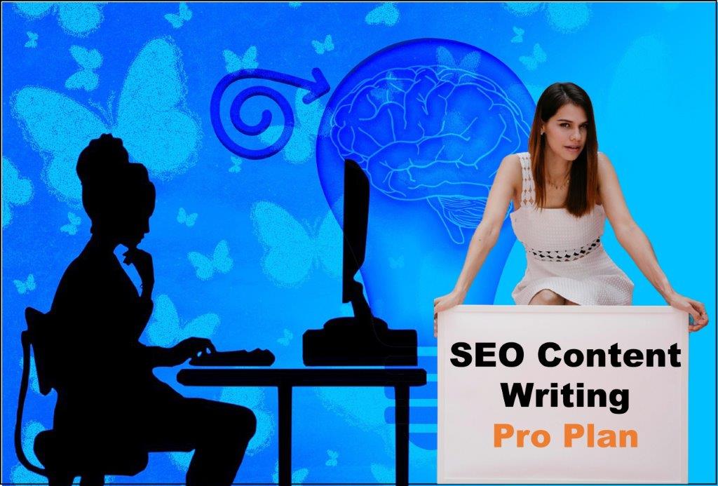 seo content writing agency Frankfort Kentucky