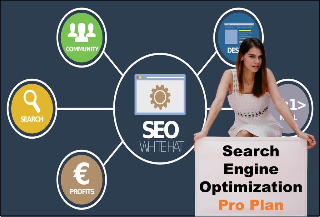 seo company Frankfort Kentucky