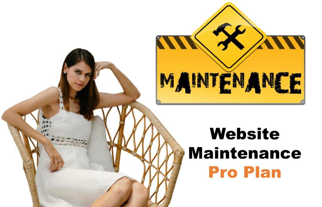 website maintenance agency in Frankfort Kentucky