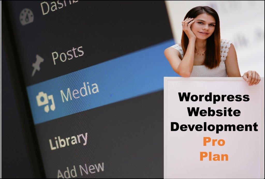 wordpress website designing in Frankfort Kentucky